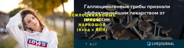 apvp Армянск